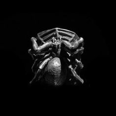 a silver ring with a spider on it's face in the middle of black background