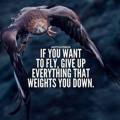 a bird flying through the air with a quote above it that reads, if you want to fly give up everything that weights you down