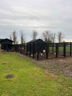 several black chicken coops in the middle of an open field with trees and grass