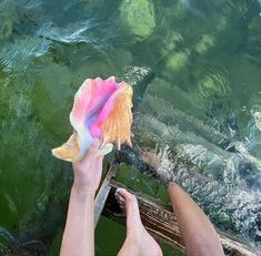 a person is holding a seashell in the water