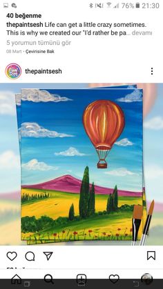 an image of a hot air balloon painted on the back of a tweep