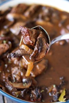 a spoon full of beef and mushroom stew