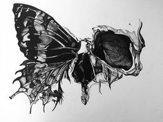 a black and white drawing of a butterfly