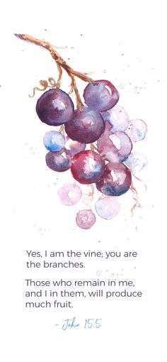 Abide in Me. I am the vine; you are the branches. Those who remain in me, and I in them will produce much fruit. John 15:5 You Are The Vine I Am The Branches, John 15 5 Wallpaper, The Vine And The Branches, John 15:5, I Am The Vine You Are The Branches, Bible Watercolor, Grape Tree, Vine Drawing