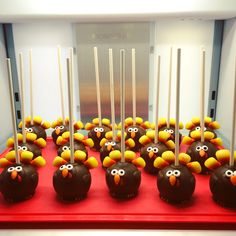 chocolate cake pops decorated with angry birds and sticks in the shape of turkeys, on a red tray