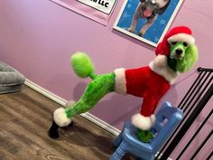 a dog dressed up as santa clause on top of a blue chair in front of a pink wall