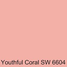 the book cover for youth coral sw 604