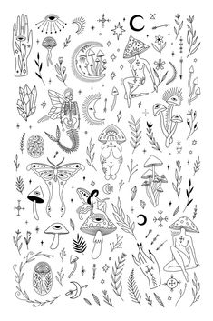 an illustration of different types of plants and animals in black ink on a white background