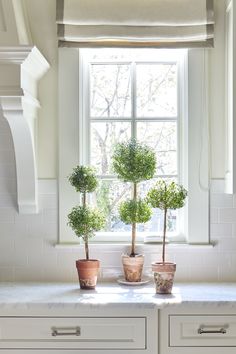 three potted plants sit on the counter in front of a window with white cabinets