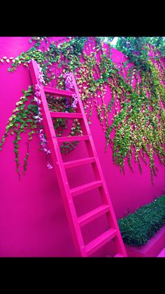 a pink ladder next to a wall with plants growing on it