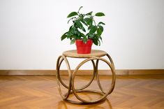 a potted plant sitting on top of a wooden table