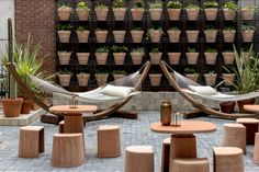 two hammock chairs sitting next to each other in front of potted plants