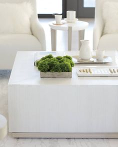 a living room with two white chairs and a coffee table in the middle, surrounded by moss