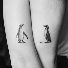 two small penguins on their arm with one penguin standing next to the other in black and white