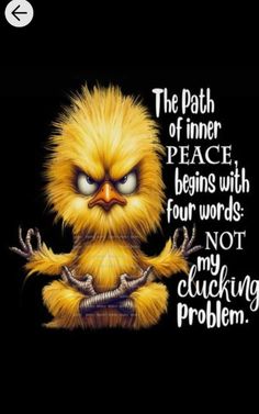 an angry bird with the words, the path to inner peace begins with four words not my