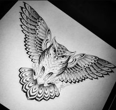 a drawing of a bird with wings on it