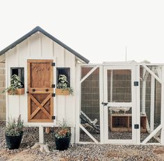 a chicken coop with two chickens in it and some plants on the ground next to it