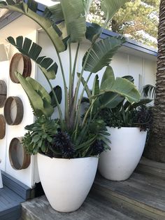 two large white planters sitting on top of a wooden step