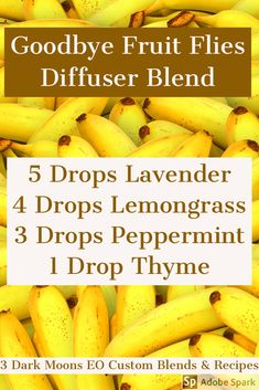 Diffuser Blends For Fruit Flies, Fruit Fly Diffuser Blend, Doterra Lavender, Aromatherapy Recipes, Fruit Fly, Essential Oil Remedy, Essential Oils Guide