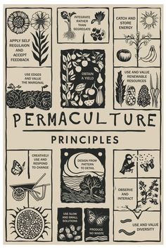 a poster with different types of plants and flowers on it's sides, including the words permaculture pringles