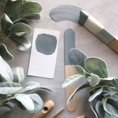 some green plants and paint brushes on a white counter top next to a piece of paper