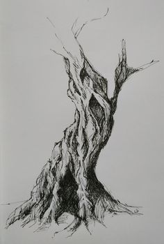 a pencil drawing of a tree with no leaves on the trunk and branches still attached to it