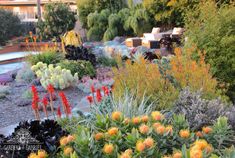 an assortment of plants and flowers in a garden