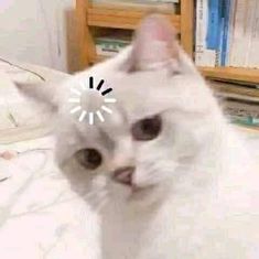 a white cat sitting on top of a bed next to a book shelf with books