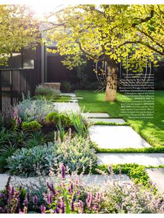 a garden with lots of plants and flowers in the grass, along with a path leading to