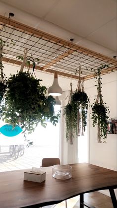 a wooden table topped with lots of green plant hanging from it's ceiling next to a window