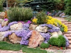 a rock garden with purple and yellow flowers