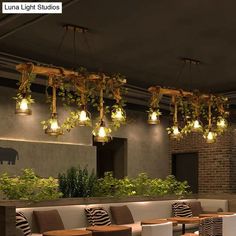 a restaurant with plants hanging from the ceiling