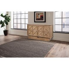 a living room area with a rug, window and potted plant on the floor