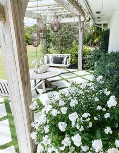 white flowers and greenery are growing on the patio