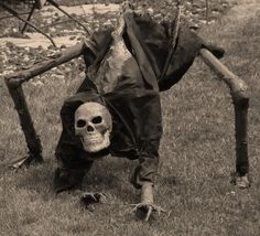 a skeleton is standing on its hind legs in the grass, with one leg bent over it's head