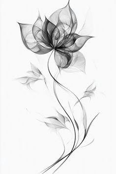 a black and white photo of a flower