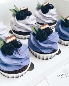 cupcakes with blue frosting and blackberries on top are in a box