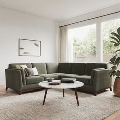 a living room with a couch, coffee table and potted plant in the corner