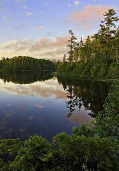 a lake surrounded by lots of trees and clouds in the sky at sunset or dawn