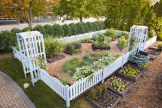 a garden filled with lots of plants next to a white picket fence and some trees