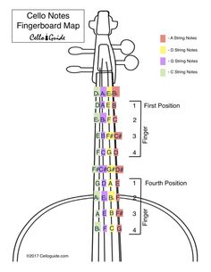 the cello notes fingerboard map is shown in this diagram, and shows its major positions