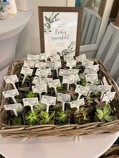 a basket filled with lots of succulents next to a sign