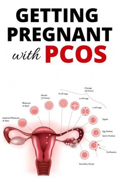 I did it and so can you! Getting pregnant with PCOS can seem impossible some days, but here are a few resources to get you on the right track. Pregnancy Workout Videos, Sweet Thoughts, How To Conceive, Natural Fertility, Get Pregnant Fast, Polycystic Ovarian Syndrome, Polycystic Ovaries, Animal Health