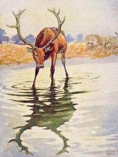 an animal standing in the water with its long antlers on it's back