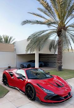 a red sports car parked in front of a palm tree