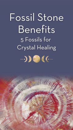 the cover of fossil stone benefits 5 fossils for crystal healing, with an image