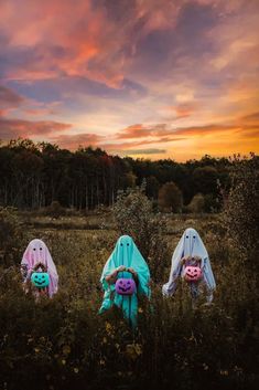 three stuffed animals sitting in the middle of a field at sunset with trees in the background