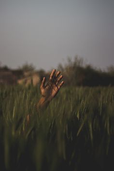 a hand reaching up into the air in a grassy field