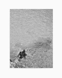 a black and white photo of two people in the water with a dog on their back