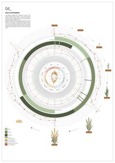 a circular diagram with various plants in the center and different colors on each one side